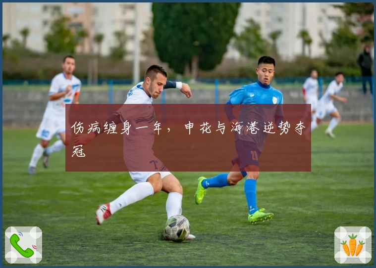 伤病缠身一年，申花与海港逆势夺冠